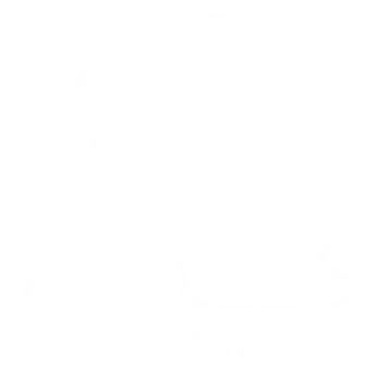 Arrels Mater
